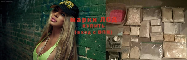трава Надым