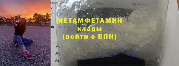 трава Надым