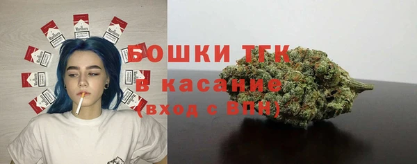 трава Надым